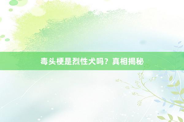 毒头梗是烈性犬吗？真相揭秘