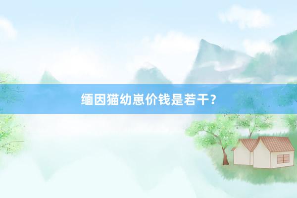 缅因猫幼崽价钱是若干？