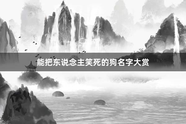 能把东说念主笑死的狗名字大赏
